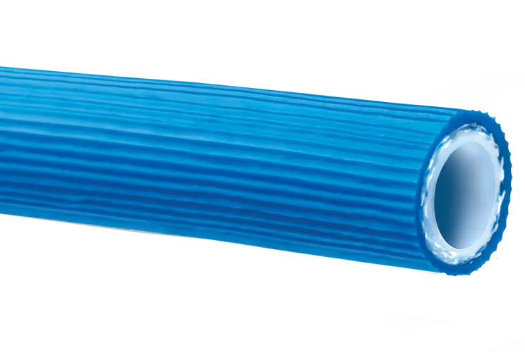 K5556 Series